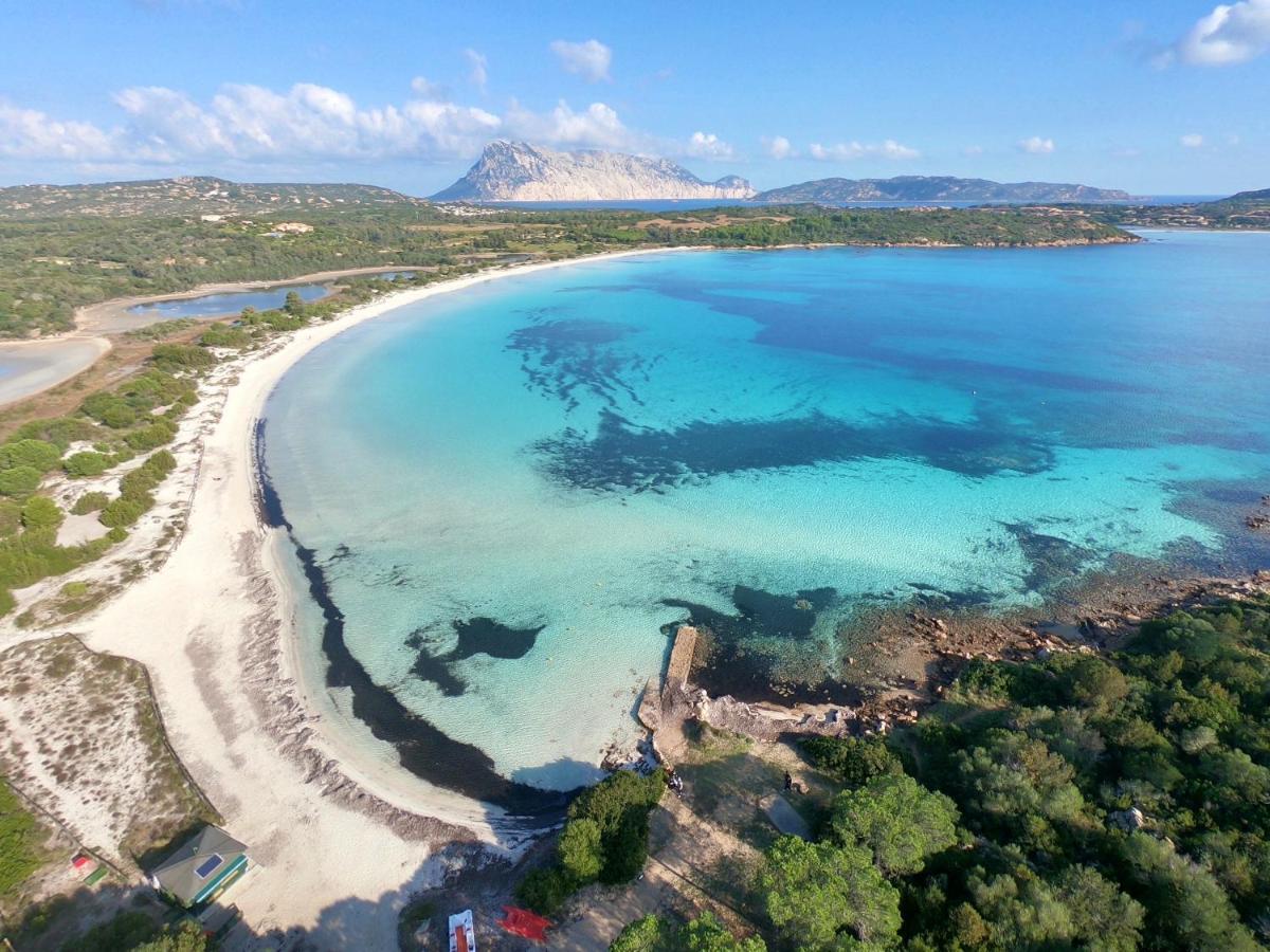 Iss Travel, Citai Panoramic Apartments - 1,5 Km From The Beach سان تيودورو المظهر الخارجي الصورة